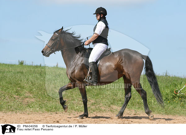 Frau reitet Paso Peruano / woman rides horse / PM-04056
