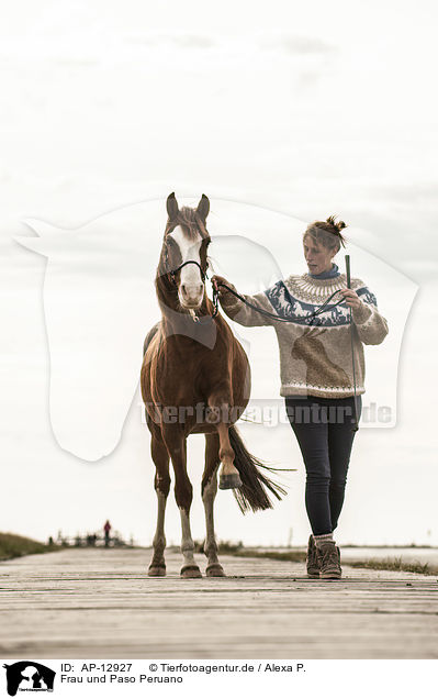 Frau und Paso Peruano / woman and Paso Peruano / AP-12927