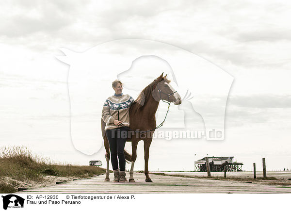 Frau und Paso Peruano / woman and Paso Peruano / AP-12930