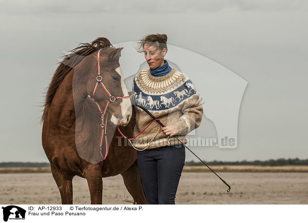 Frau und Paso Peruano / woman and Paso Peruano / AP-12933