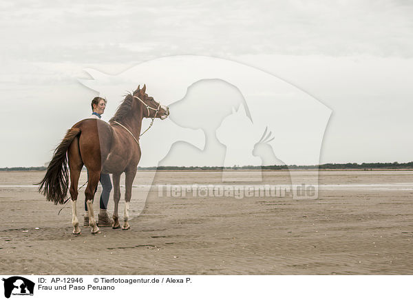 Frau und Paso Peruano / woman and Paso Peruano / AP-12946