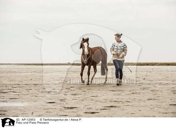 Frau und Paso Peruano / woman and Paso Peruano / AP-12953