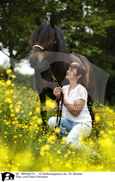Frau und Paso Peruano / woman and Paso Peruano / RR-66313