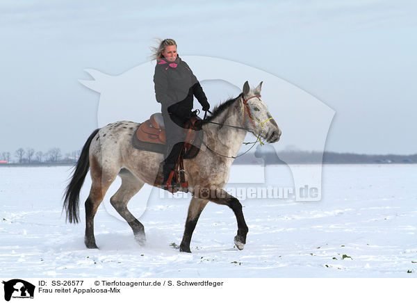 Frau reitet Appaloosa-Mix / woman rides crossbreed / SS-26577
