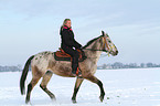 Frau reitet Appaloosa-Mix
