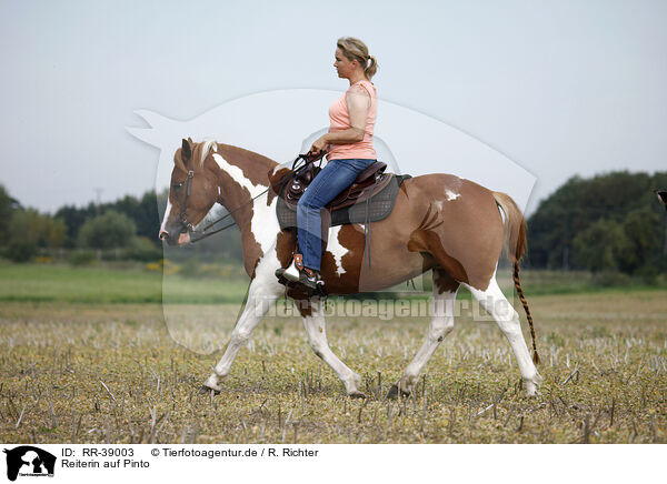 Reiterin auf Pinto / rider with pinto / RR-39003