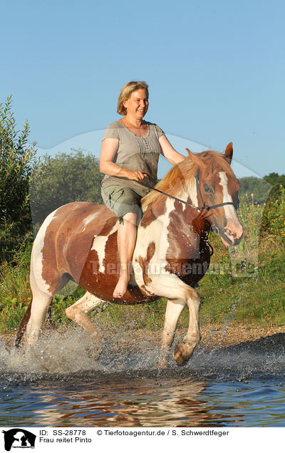 Frau reitet Pinto / woman rides Pinto / SS-28778