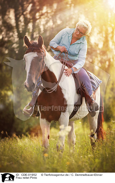 Frau reitet Pinto / woman rides Pinto / CDE-01952