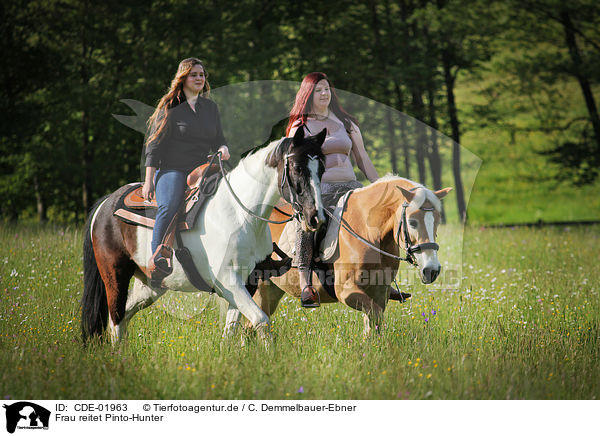 Frau reitet Pinto-Hunter / woman rides Pinto-Hunter / CDE-01963