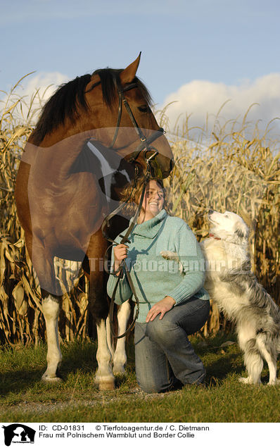 Frau mit Polnischem Warmblut und Border Collie / woman with polish warmblood and border collie / CD-01831