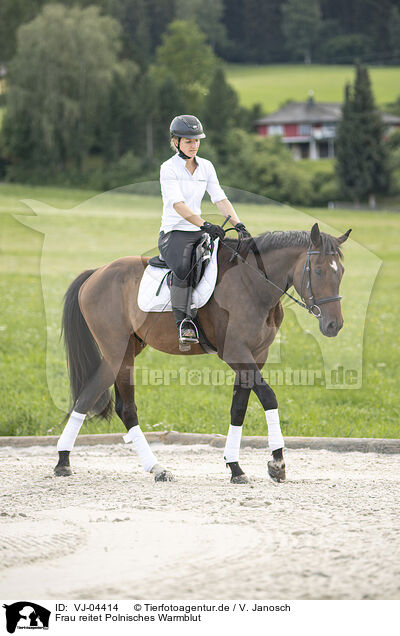 Frau reitet Polnisches Warmblut / VJ-04414