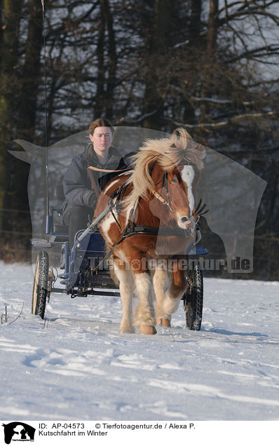 Kutschfahrt im Winter / AP-04573