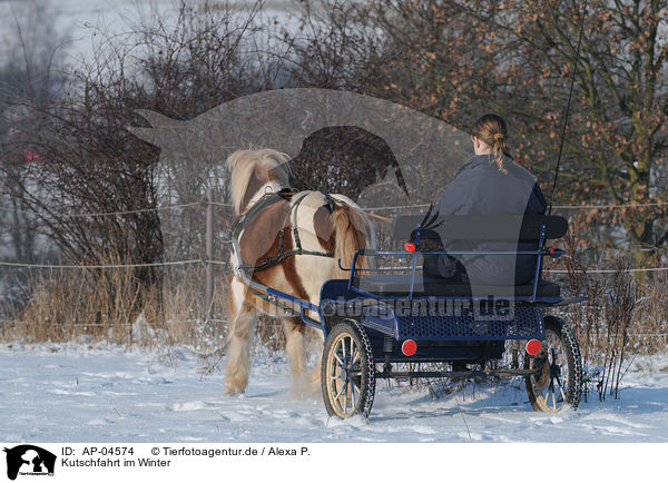 Kutschfahrt im Winter / AP-04574