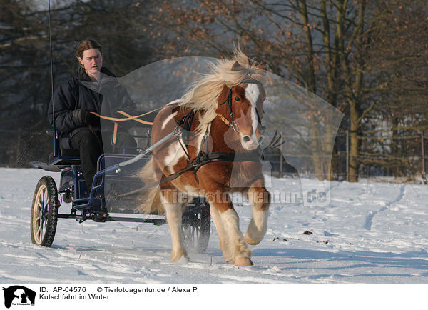 Kutschfahrt im Winter / AP-04576