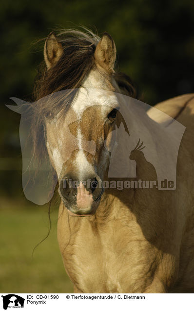 Ponymix / CD-01590