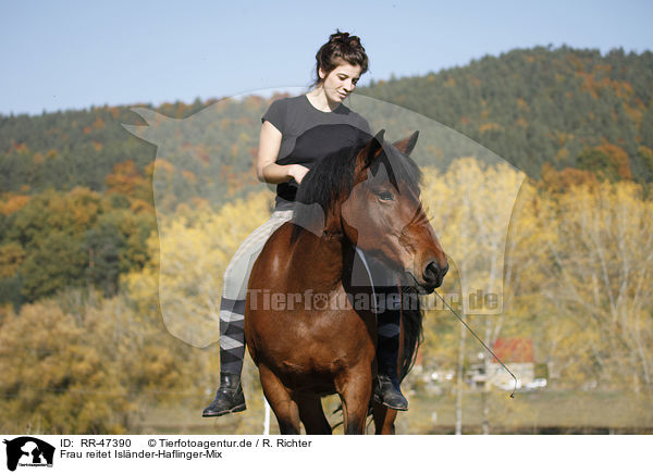 Frau reitet Islnder-Haflinger-Mix / woman rides crossbreed / RR-47390