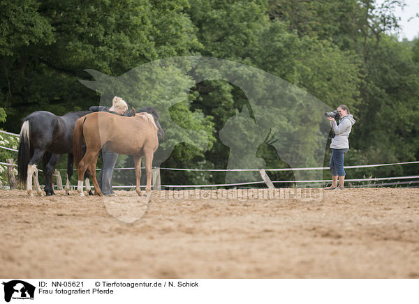Frau fotografiert Pferde / NN-05621