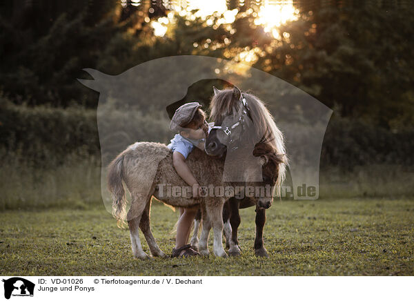 Junge und Ponys / boy and ponies / VD-01026
