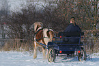 Kutschfahrt im Winter