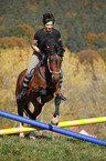 Frau reitet Islnder-Haflinger-Mix