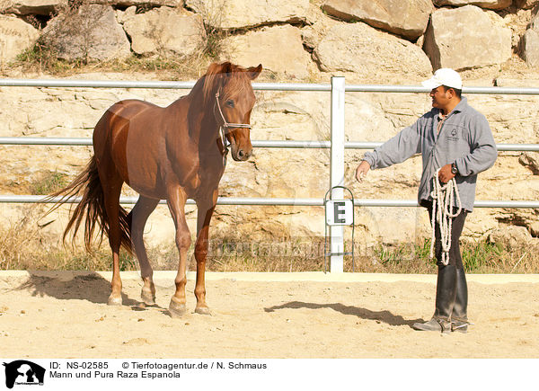 Mann und Pura Raza Espanola / man and PRE / NS-02585