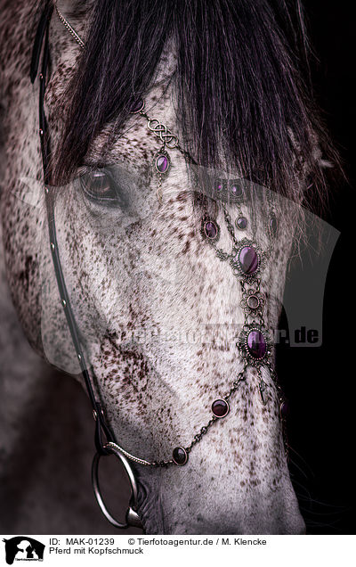 Pferd mit Kopfschmuck / horse with headdress / MAK-01239