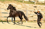 trabendes Pura Raza Espanola