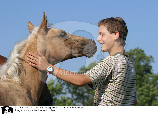 Junge und Quarter Horse Fohlen / SS-05403
