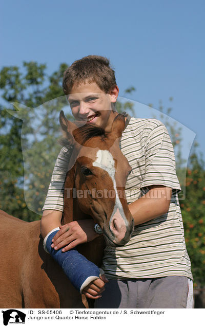 Junge und Quarter Horse Fohlen / SS-05406
