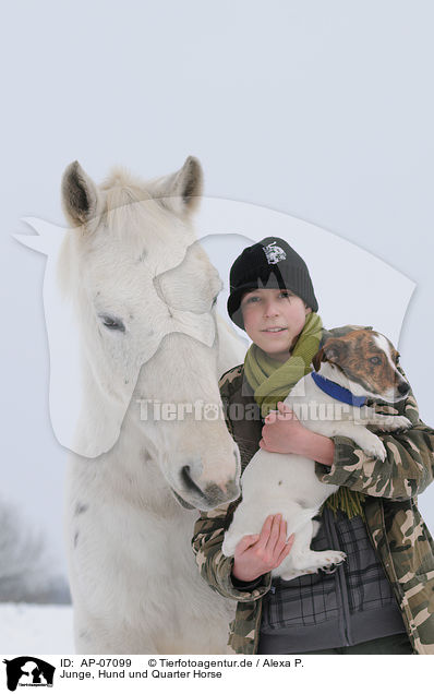 Junge, Hund und Quarter Horse / boy, dog and Quarter Horse / AP-07099
