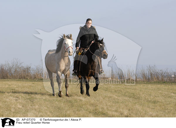 Frau reitet Quarter Horse / woman rides Quarter Horse / AP-07370