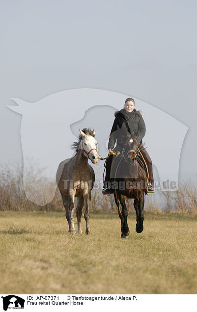 Frau reitet Quarter Horse / woman rides Quarter Horse / AP-07371