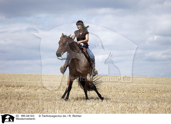 Westernreiterin / western riding horsewoman / RR-38183