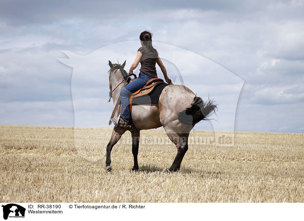 Westernreiterin / western riding horsewoman / RR-38190