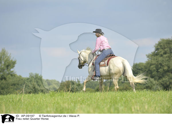 Frau reitet Quarter Horse / woman rides Quarter Horse / AP-09187