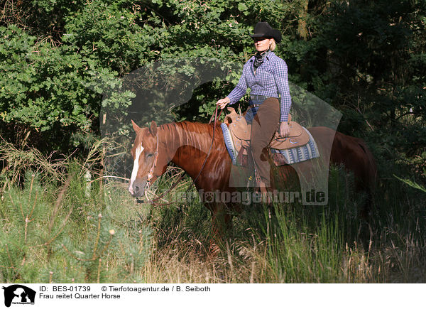 Frau reitet Quarter Horse / BES-01739
