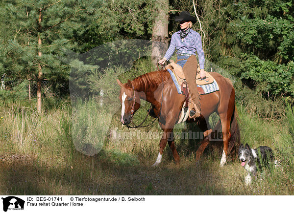 Frau reitet Quarter Horse / woman rides Quarter Horse / BES-01741