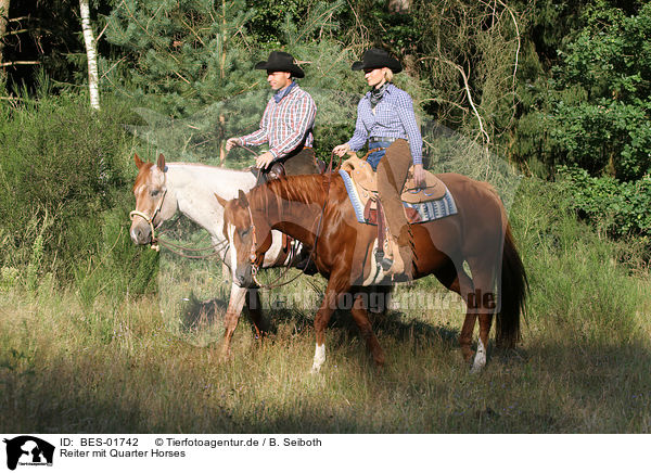 Reiter mit Quarter Horses / riders with Quarter Horses / BES-01742
