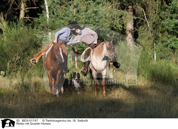 Reiter mit Quarter Horses / riders with Quarter Horses / BES-01747