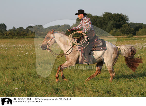 Mann reitet Quarter Horse / BES-01754