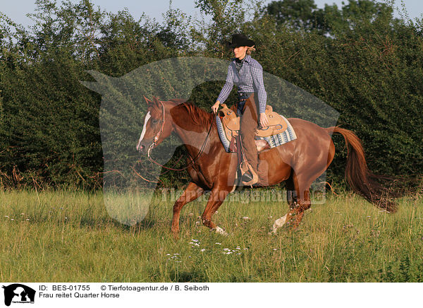 Frau reitet Quarter Horse / BES-01755