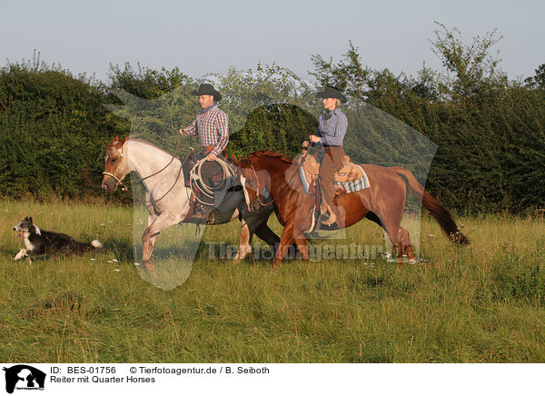 Reiter mit Quarter Horses / BES-01756