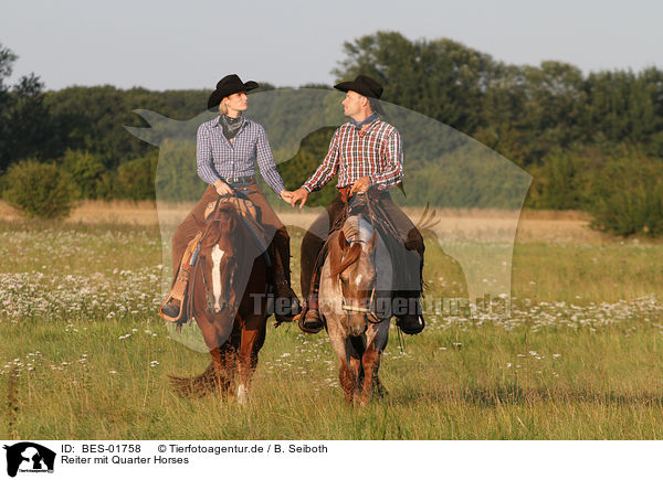 Reiter mit Quarter Horses / riders with Quarter Horses / BES-01758