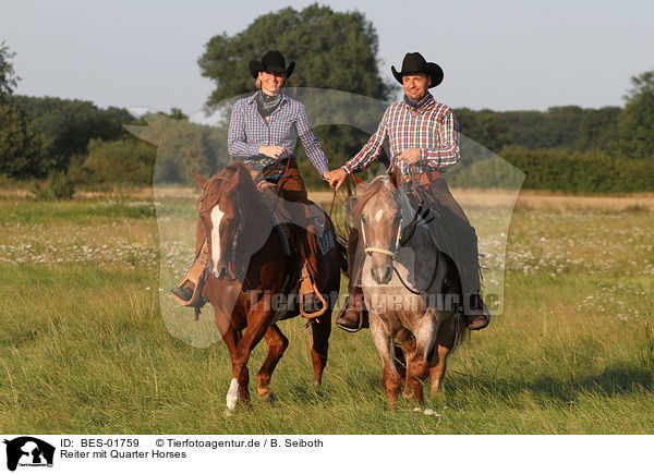 Reiter mit Quarter Horses / riders with Quarter Horses / BES-01759
