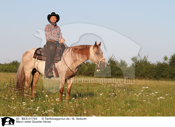 Mann reitet Quarter Horse / BES-01760