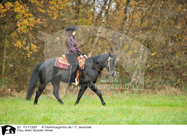 Frau reitet Quarter Horse / woman rides Quarter Horse / YJ-11285