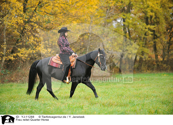 Frau reitet Quarter Horse / woman rides Quarter Horse / YJ-11288
