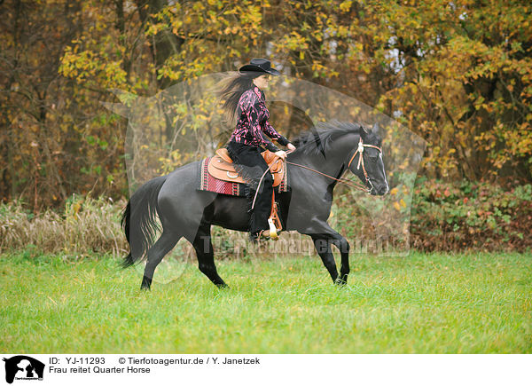 Frau reitet Quarter Horse / woman rides Quarter Horse / YJ-11293