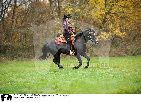 Frau reitet Quarter Horse / woman rides Quarter Horse / YJ-11294