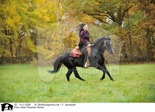 Frau reitet Quarter Horse / woman rides Quarter Horse / YJ-11295
